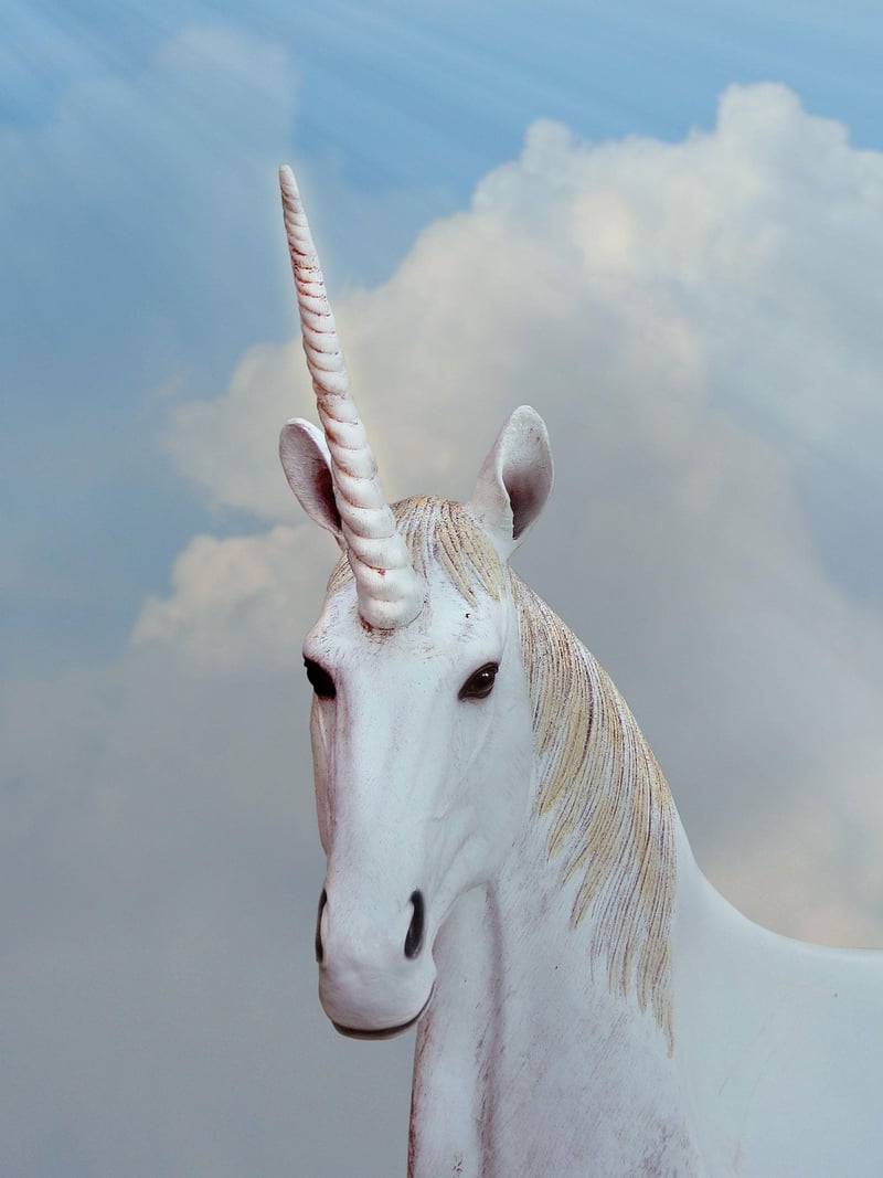 Mythical Creatures Wedding
